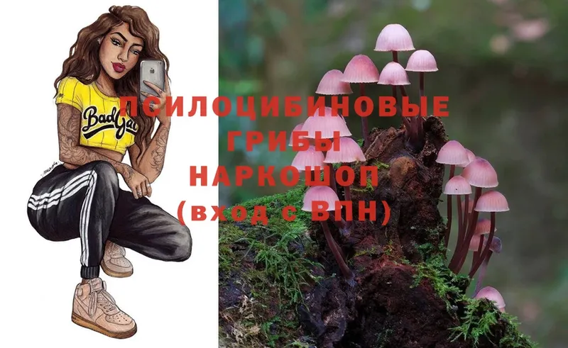 MEGA зеркало  Лахденпохья  Галлюциногенные грибы Magic Shrooms  закладки 